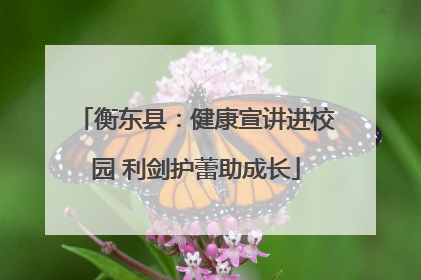衡东县：健康宣讲进校园 利剑护蕾助成长