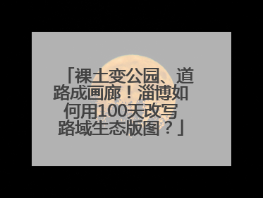 裸土变公园、道路成画廊！淄博如何用100天改写路域生态版图？