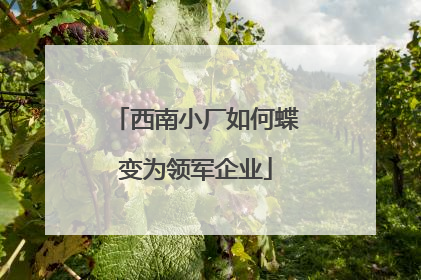 西南小厂如何蝶变为领军企业
