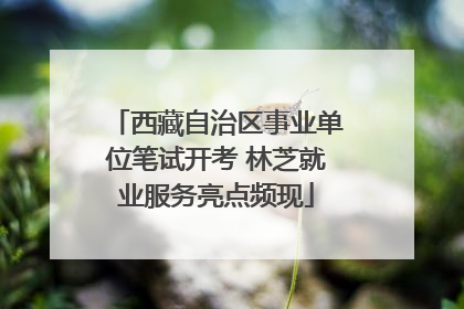 西藏自治区事业单位笔试开考 林芝就业服务亮点频现