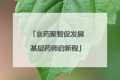 襄药聚智促发展 基层药师启新程