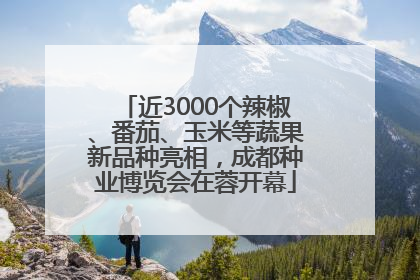 近3000个辣椒、番茄、玉米等蔬果新品种亮相，成都种业博览会在蓉开幕