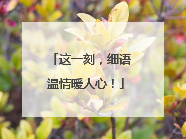这一刻，细语温情暖人心！