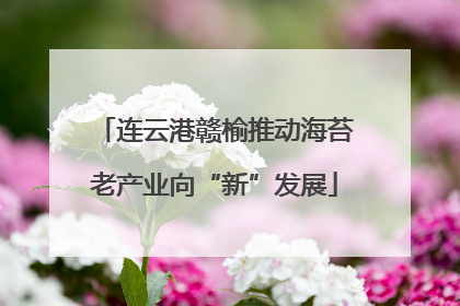 连云港赣榆推动海苔老产业向“新”发展