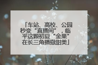 车站、高校、公园秒变“直播间”，临平这颗初夏“金果”在长三角播撒甜美