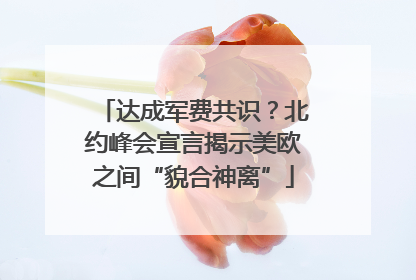 达成军费共识？北约峰会宣言揭示美欧之间“貌合神离”