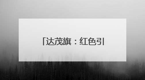 达茂旗：红色引擎助力合作社走上致富新赛道