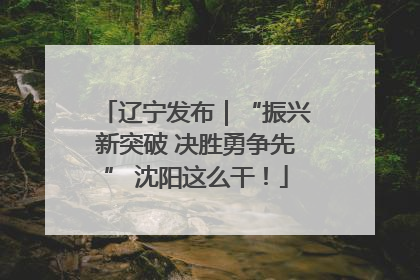 辽宁发布｜“振兴新突破 决胜勇争先” 沈阳这么干！