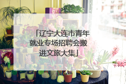辽宁大连市青年就业专场招聘会搬进文旅大集
