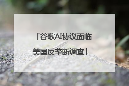 谷歌AI协议面临美国反垄断调查