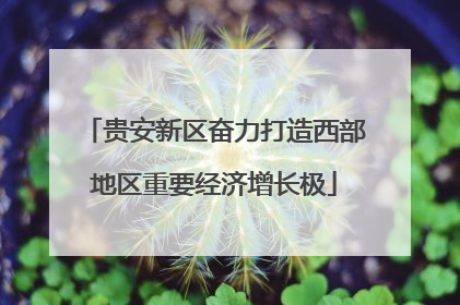 贵安新区奋力打造西部地区重要经济增长极