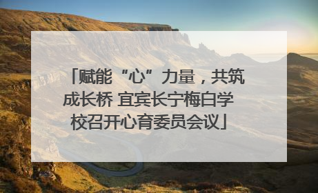 赋能“心”力量，共筑成长桥 宜宾长宁梅白学校召开心育委员会议