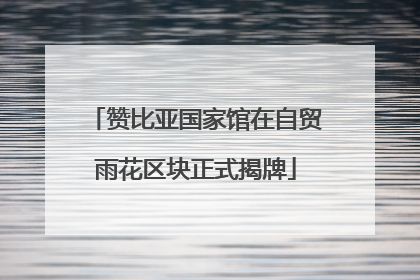 赞比亚国家馆在自贸雨花区块正式揭牌