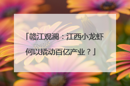赣江观澜：江西小龙虾何以撬动百亿产业？