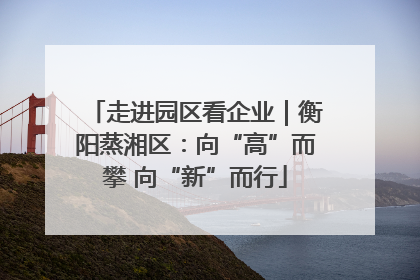 走进园区看企业｜衡阳蒸湘区：向“高”而攀 向“新”而行