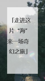 走进这片“海”来一场奇幻之旅