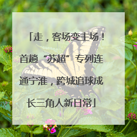 走，客场变主场！首趟“苏超”专列连通宁淮，跨城追球成长三角人新日常