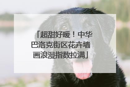 超甜好暖！中华巴洛克街区花卉墙画浪漫指数拉满