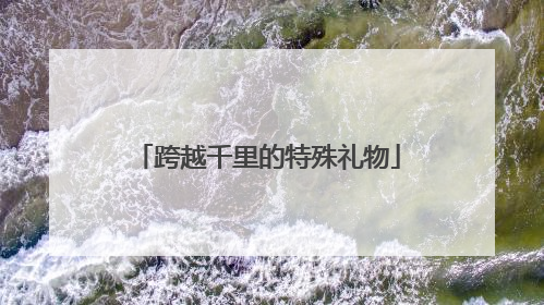 跨越千里的特殊礼物