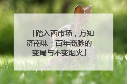 踏入西市场，方知济南味：百年商脉的变局与不变烟火