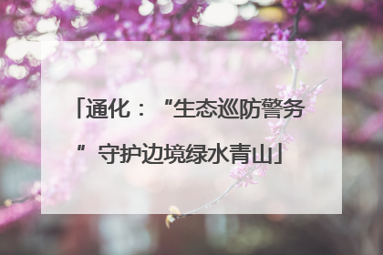 通化：“生态巡防警务”守护边境绿水青山