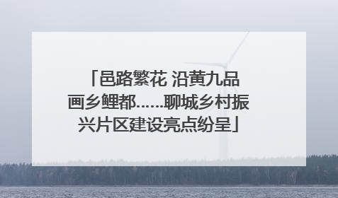 邑路繁花 沿黄九品 画乡鲤都……聊城乡村振兴片区建设亮点纷呈