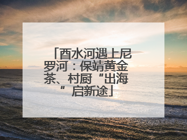 酉水河遇上尼罗河：保靖黄金茶、村厨“出海”启新途