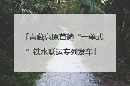 青藏高原首趟“一单式”铁水联运专列发车