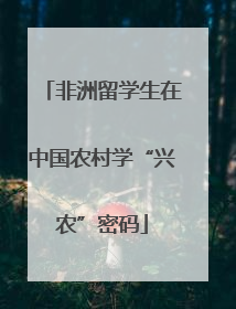非洲留学生在中国农村学“兴农”密码