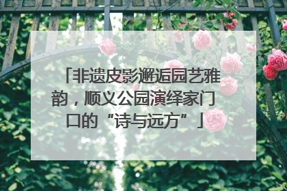 非遗皮影邂逅园艺雅韵，顺义公园演绎家门口的“诗与远方”