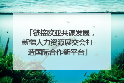 链接欧亚共谋发展，新疆人力资源展交会打造国际合作新平台