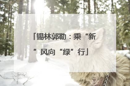 锡林郭勒：乘“新”风向“绿”行