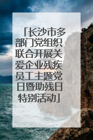 长沙市多部门党组织联合开展关爱企业残疾员工主题党日暨助残日特别活动