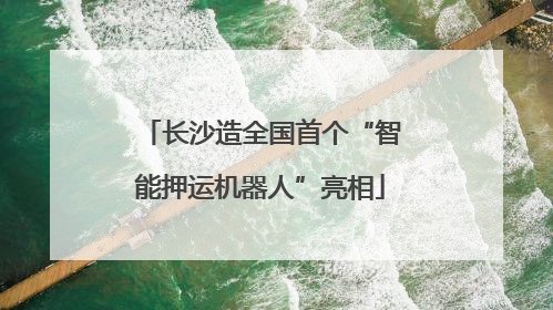 长沙造全国首个“智能押运机器人”亮相