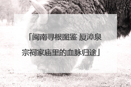 闽南寻根图鉴 厦漳泉宗祠家庙里的血脉归途