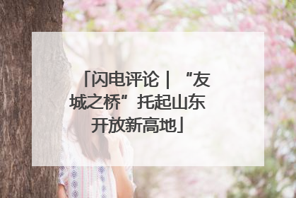 闪电评论｜“友城之桥”托起山东开放新高地