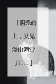 阴条岭上，又见漫山海棠开……