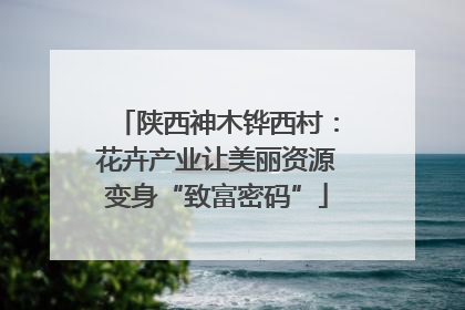 陕西神木铧西村：花卉产业让美丽资源变身“致富密码”
