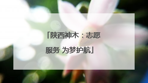 陕西神木：志愿服务 为梦护航