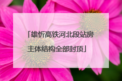 雄忻高铁河北段站房主体结构全部封顶