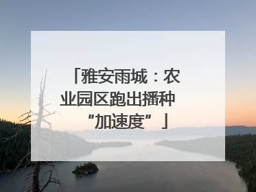 雅安雨城：农业园区跑出播种“加速度”