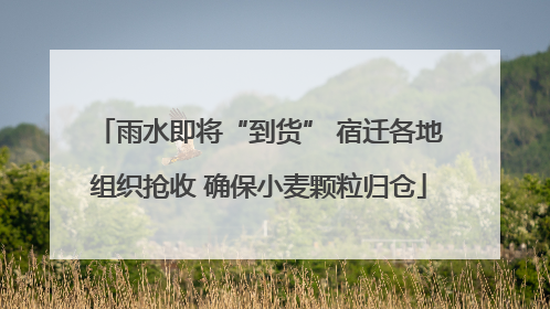 雨水即将“到货” 宿迁各地组织抢收 确保小麦颗粒归仓