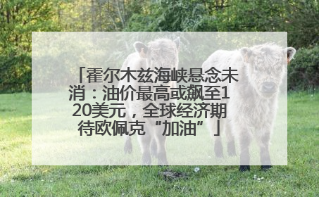 霍尔木兹海峡悬念未消：油价最高或飙至120美元，全球经济期待欧佩克“加油”