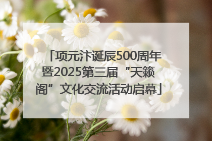 项元汴诞辰500周年暨2025第三届“天籁阁”文化交流活动启幕