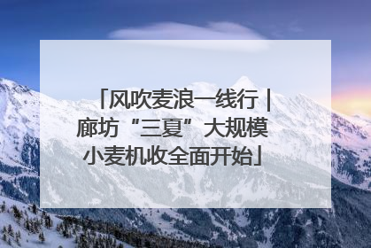 风吹麦浪一线行｜廊坊“三夏”大规模小麦机收全面开始