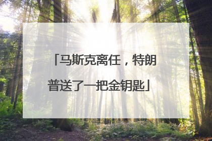 马斯克离任，特朗普送了一把金钥匙