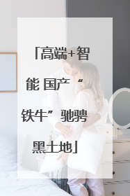 高端+智能 国产“铁牛”驰骋黑土地