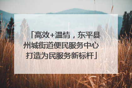 高效+温情，东平县州城街道便民服务中心打造为民服务新标杆
