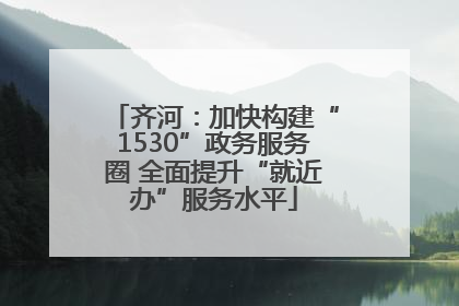 齐河：加快构建“1530”政务服务圈 全面提升“就近办”服务水平