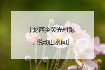 龙西乡荧光村跑，悦动山水间